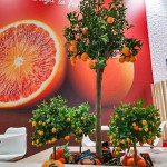 3Moretti Fruit Logistica 2022 8