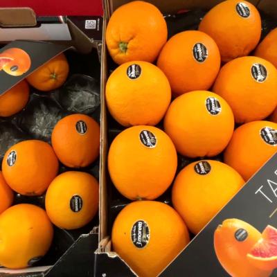 3moretti Fruit Logistica 2022 3