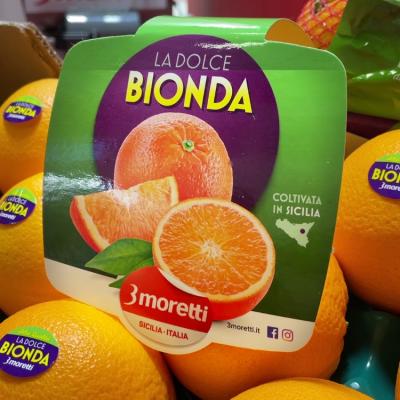 3moretti Fruit Logistica 2022 6